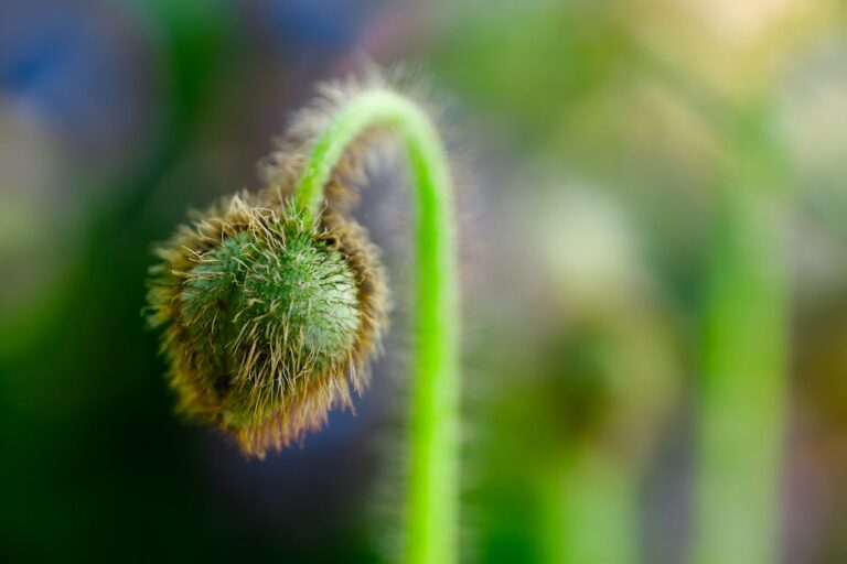 Naturalne sposoby na przyspieszenie wzrostu włosów